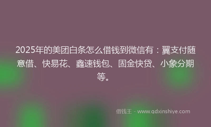 2025年的美团白条怎么借钱到微信有：翼支付随意借、快易花、鑫速钱包、固金快贷、小象分期等。
