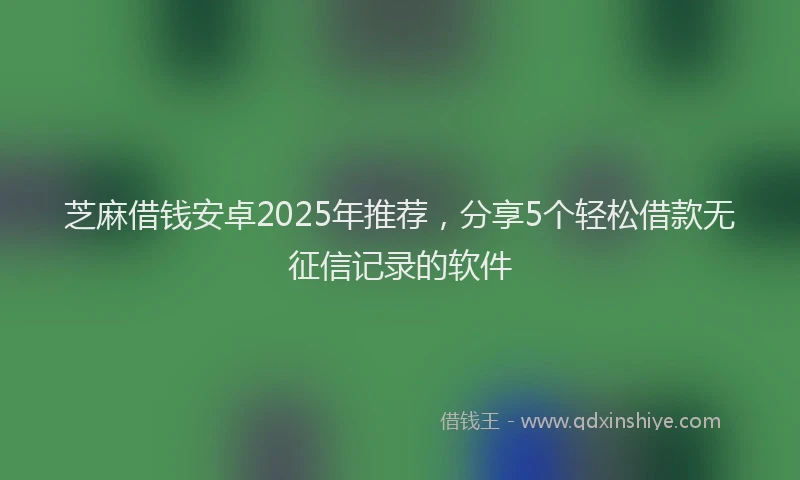 芝麻借钱安卓2025年推荐，分享5个轻松借款无征信记录的软件