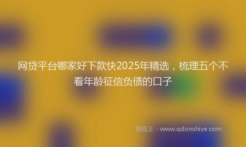 网贷平台哪家好下款快2025年精选，梳理五个不看年龄征信负债的口子