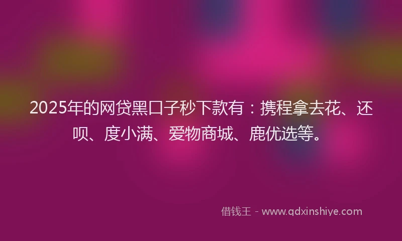 2025年的网贷黑口子秒下款有：携程拿去花、还呗、度小满、爱物商城、鹿优选等。