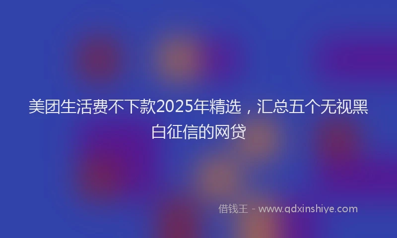美团生活费不下款2025年精选，汇总五个无视黑白征信的网贷