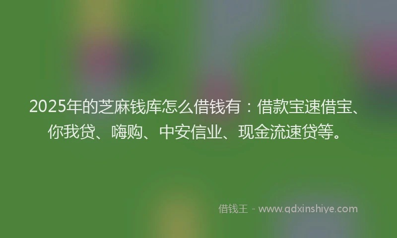 2025年的芝麻钱库怎么借钱有：借款宝速借宝、你我贷、嗨购、中安信业、现金流速贷等。
