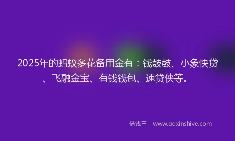 2025年的蚂蚁多花备用金有：钱鼓鼓、小象快贷、飞融金宝、有钱钱包、速贷侠等。
