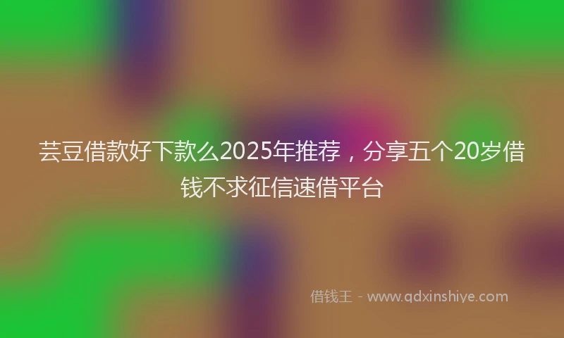 芸豆借款好下款么2025年推荐，分享五个20岁借钱不求征信速借平台