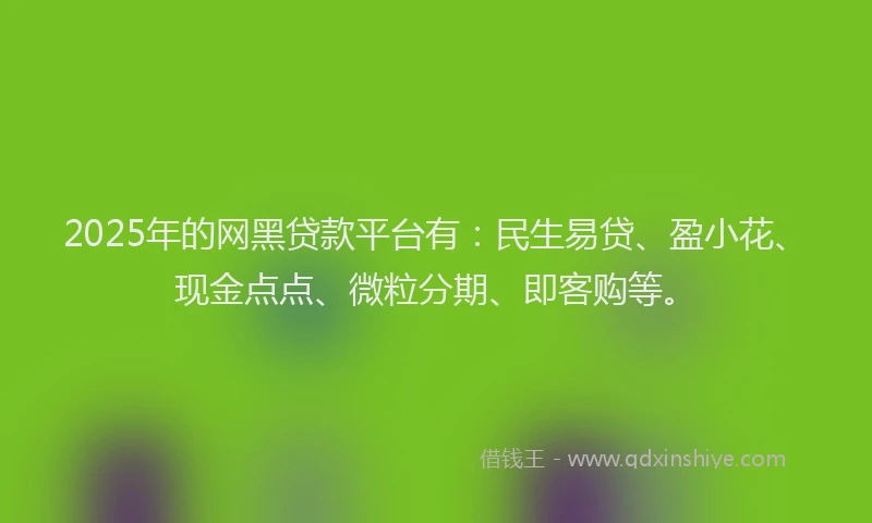2025年的网黑贷款平台有：民生易贷、盈小花、现金点点、微粒分期、即客购等。
