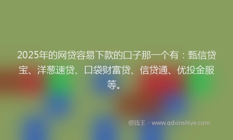 2025年的网贷容易下款的囗子那一个有：甄信贷宝、洋葱速贷、口袋财富贷、信贷通、优投金服等。