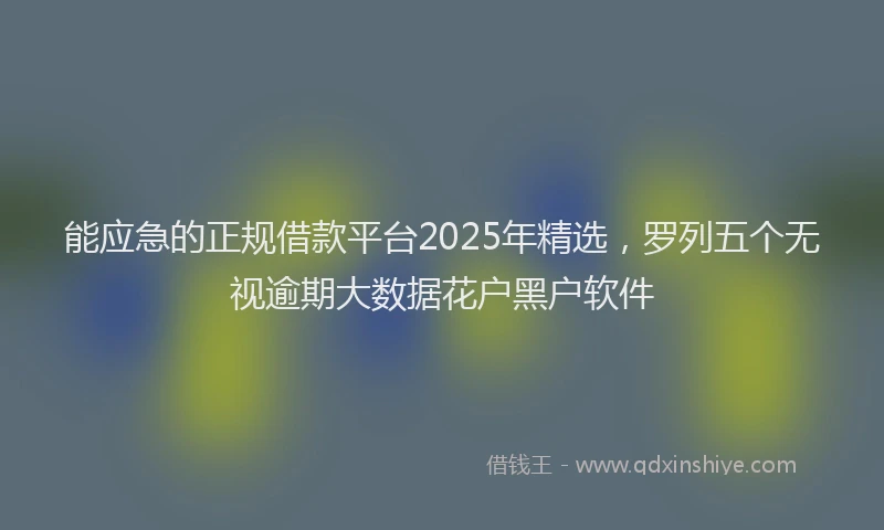 能应急的正规借款平台2025年精选，罗列五个无视逾期大数据花户黑户软件