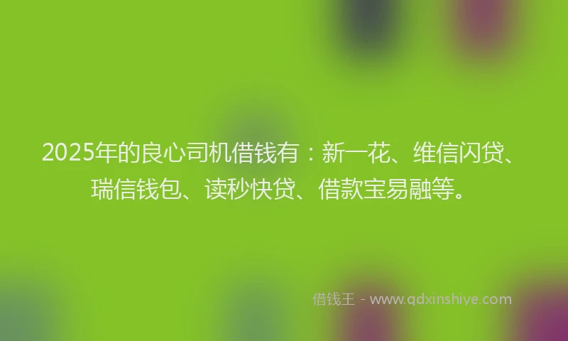 2025年的良心司机借钱有：新一花、维信闪贷、瑞信钱包、读秒快贷、借款宝易融等。