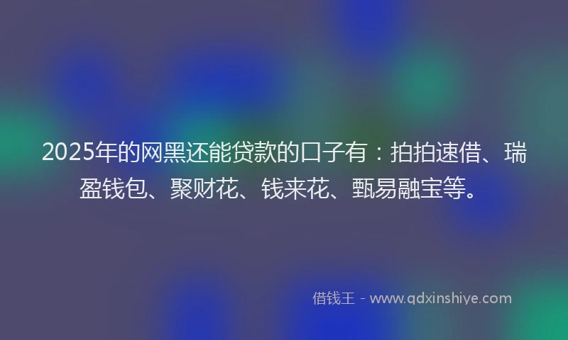 2025年的网黑还能贷款的口子有：拍拍速借、瑞盈钱包、聚财花、钱来花、甄易融宝等。