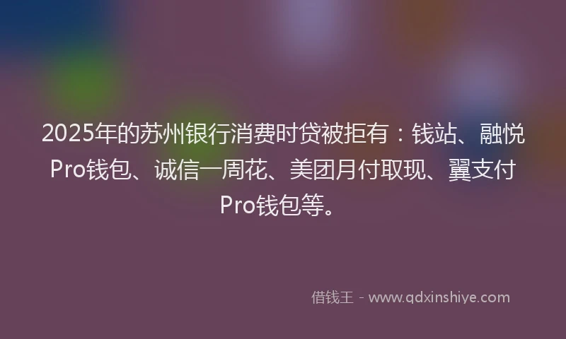 2025年的苏州银行消费时贷被拒有：钱站、融悦Pro钱包、诚信一周花、美团月付取现、翼支付Pro钱包等。