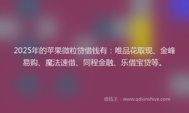 2025年的苹果微粒贷借钱有：唯品花取现、金峰易购、魔法速借、同程金融、乐借宝贷等。