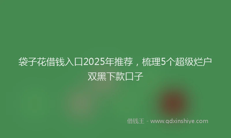 袋子花借钱入口2025年推荐，梳理5个超级烂户双黑下款口子