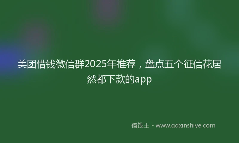 美团借钱微信群2025年推荐，盘点五个征信花居然都下款的app