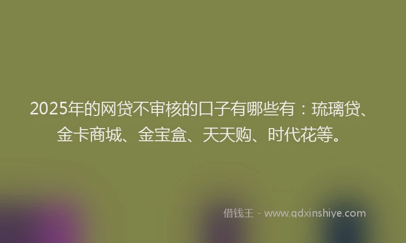 2025年的网贷不审核的口子有哪些有：琉璃贷、金卡商城、金宝盒、天天购、时代花等。