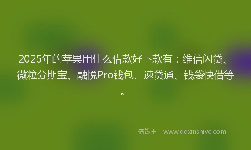 2025年的苹果用什么借款好下款有：维信闪贷、微粒分期宝、融悦Pro钱包、速贷通、钱袋快借等。