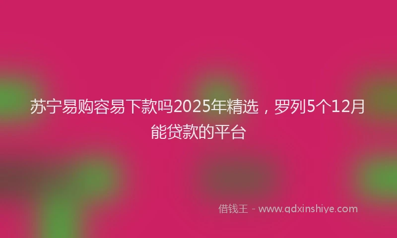 苏宁易购容易下款吗2025年精选，罗列5个12月能贷款的平台