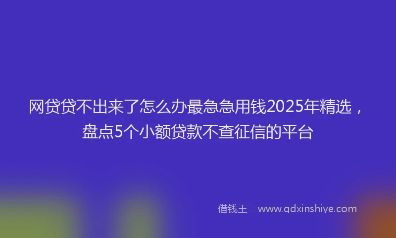 网贷贷不出来了怎么办最急急用钱2025年精选，盘点5个小额贷款不查征信的平台