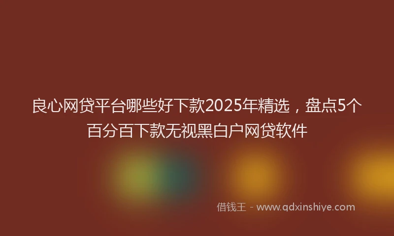 良心网贷平台哪些好下款2025年精选，盘点5个百分百下款无视黑白户网贷软件