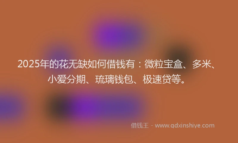 2025年的花无缺如何借钱有：微粒宝盒、多米、小爱分期、琉璃钱包、极速贷等。
