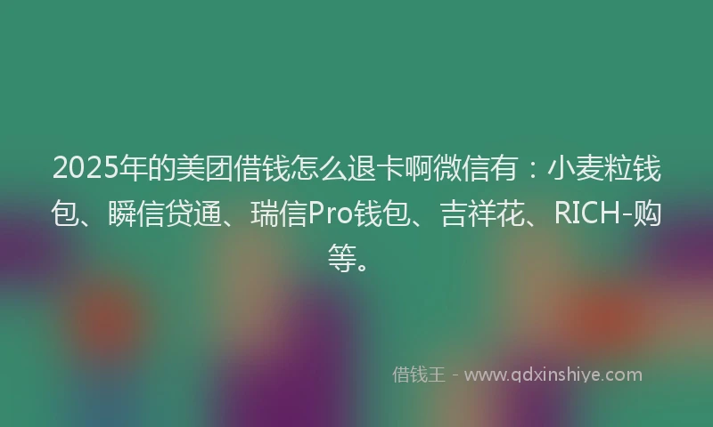 2025年的美团借钱怎么退卡啊微信有：小麦粒钱包、瞬信贷通、瑞信Pro钱包、吉祥花、RICH-购等。