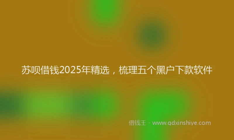 苏呗借钱2025年精选，梳理五个黑户下款软件