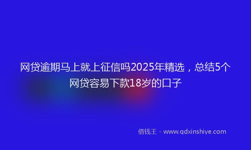 网贷逾期马上就上征信吗2025年精选，总结5个网贷容易下款18岁的口子