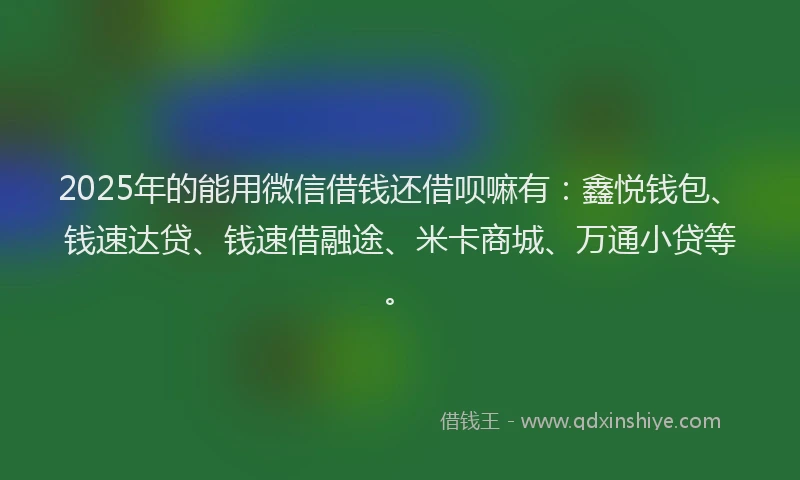 2025年的能用微信借钱还借呗嘛有：鑫悦钱包、钱速达贷、钱速借融途、米卡商城、万通小贷等。