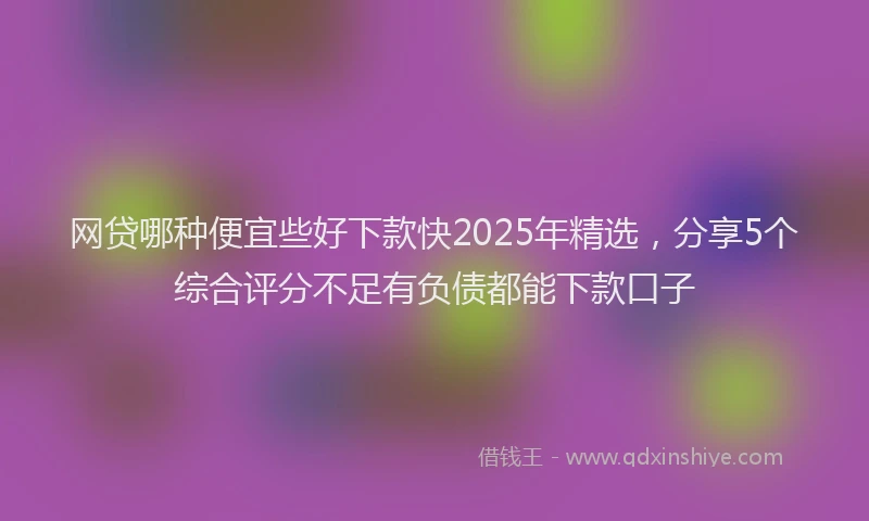 网贷哪种便宜些好下款快2025年精选，分享5个综合评分不足有负债都能下款口子