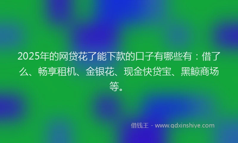 2025年的网贷花了能下款的口子有哪些有：借了么、畅享租机、金银花、现金快贷宝、黑鲸商场等。