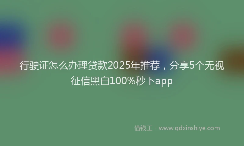 行驶证怎么办理贷款2025年推荐，分享5个无视征信黑白100%秒下app