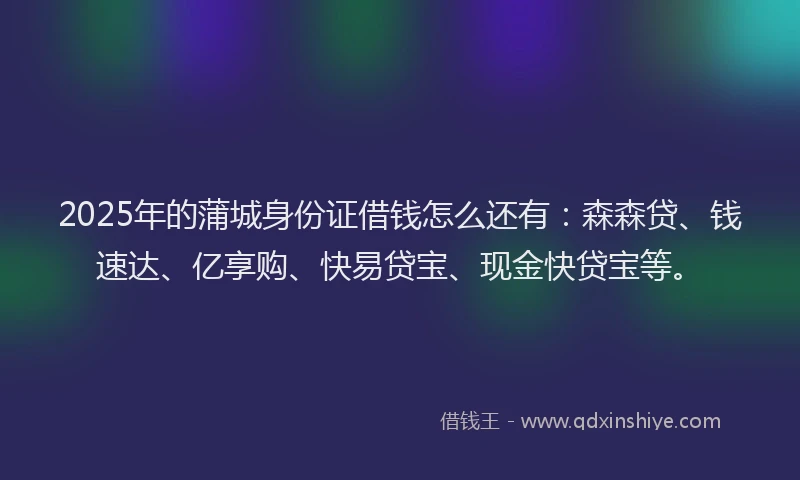 2025年的蒲城身份证借钱怎么还有：森森贷、钱速达、亿享购、快易贷宝、现金快贷宝等。