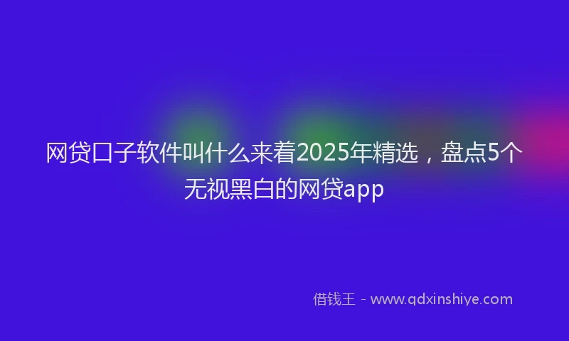 网贷口子软件叫什么来着2025年精选，盘点5个无视黑白的网贷app
