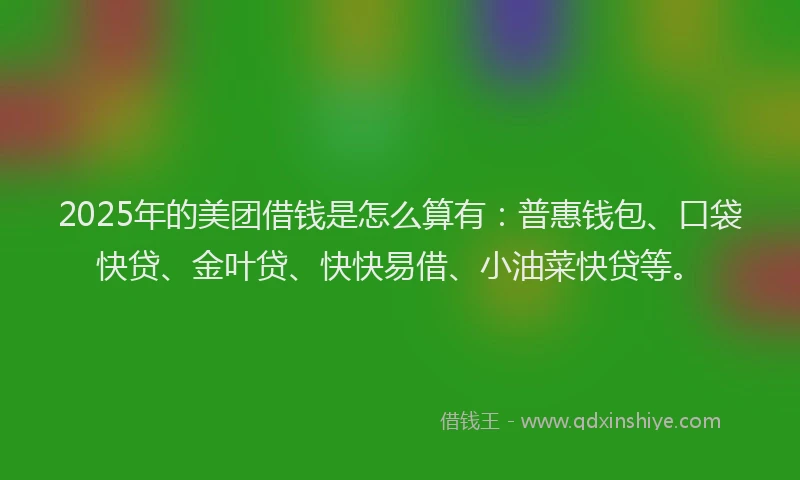 2025年的美团借钱是怎么算有：普惠钱包、口袋快贷、金叶贷、快快易借、小油菜快贷等。