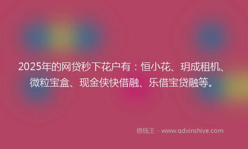2025年的网贷秒下花户有：恒小花、玥成租机、微粒宝盒、现金侠快借融、乐借宝贷融等。