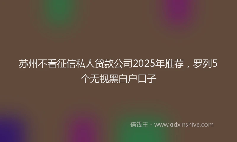 苏州不看征信私人贷款公司2025年推荐，罗列5个无视黑白户口子