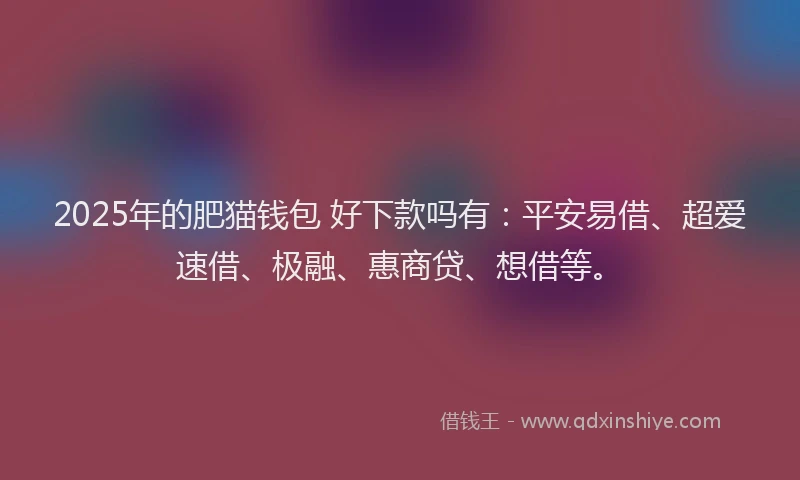 2025年的肥猫钱包 好下款吗有：平安易借、超爱速借、极融、惠商贷、想借等。