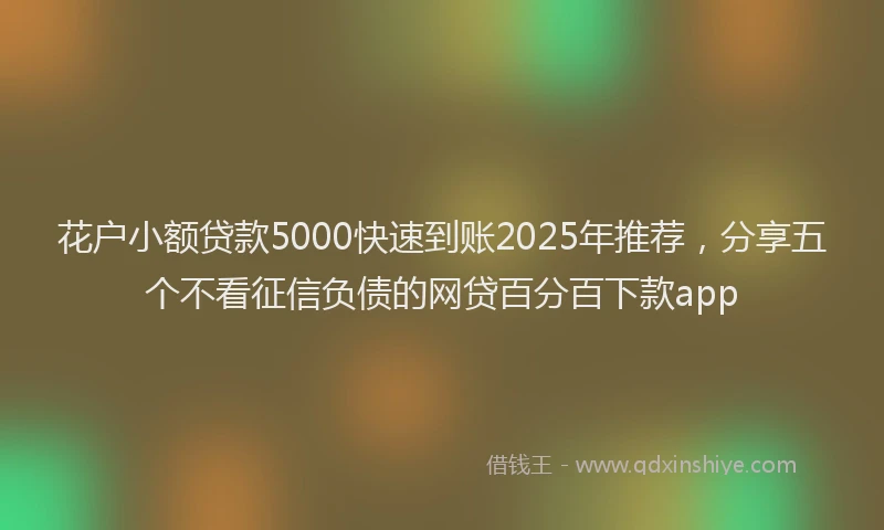 花户小额贷款5000快速到账2025年推荐，分享五个不看征信负债的网贷百分百下款app