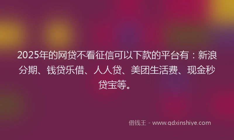 2025年的网贷不看征信可以下款的平台有：新浪分期、钱贷乐借、人人贷、美团生活费、现金秒贷宝等。