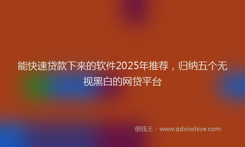能快速贷款下来的软件2025年推荐，归纳五个无视黑白的网贷平台