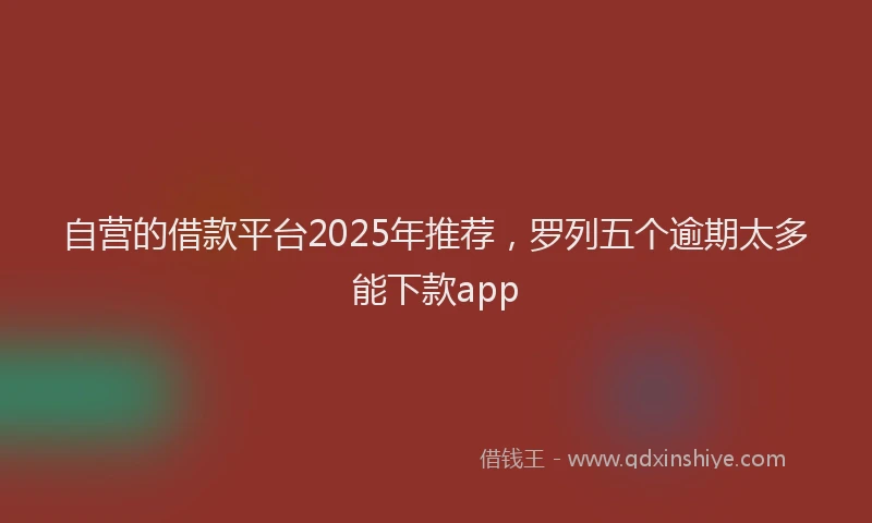 自营的借款平台2025年推荐，罗列五个逾期太多能下款app