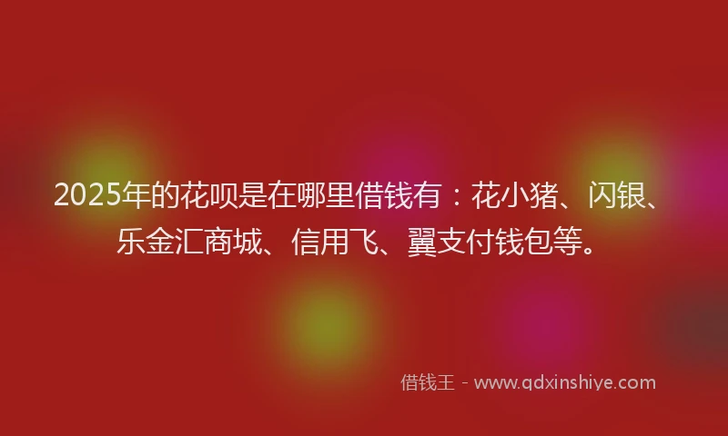 2025年的花呗是在哪里借钱有：花小猪、闪银、乐金汇商城、信用飞、翼支付钱包等。