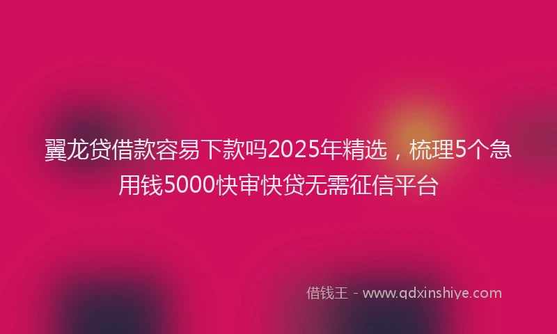 翼龙贷借款容易下款吗2025年精选，梳理5个急用钱5000快审快贷无需征信平台