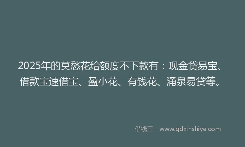 2025年的莫愁花给额度不下款有：现金贷易宝、借款宝速借宝、盈小花、有钱花、涌泉易贷等。
