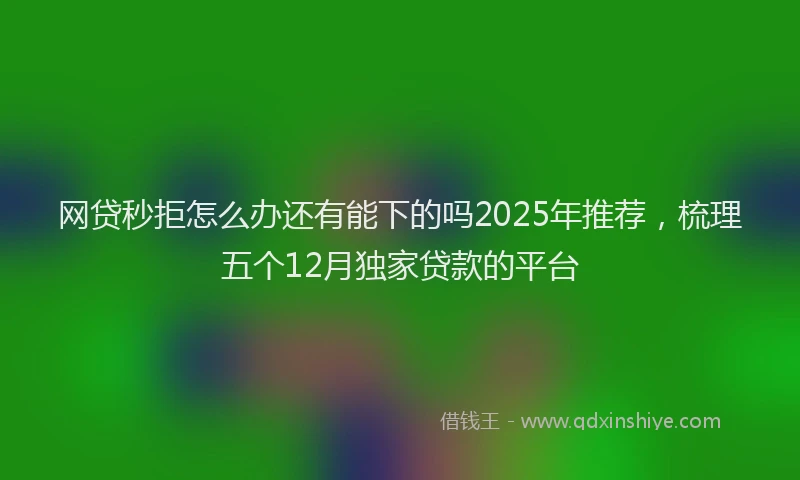 网贷秒拒怎么办还有能下的吗2025年推荐，梳理五个12月独家贷款的平台