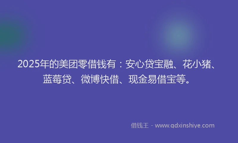 2025年的美团零借钱有：安心贷宝融、花小猪、蓝莓贷、微博快借、现金易借宝等。