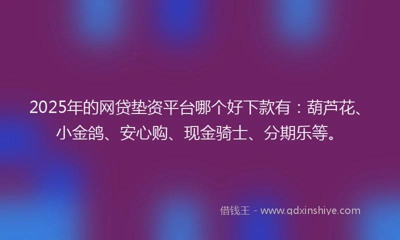 2025年的网贷垫资平台哪个好下款有：葫芦花、小金鸽、安心购、现金骑士、分期乐等。