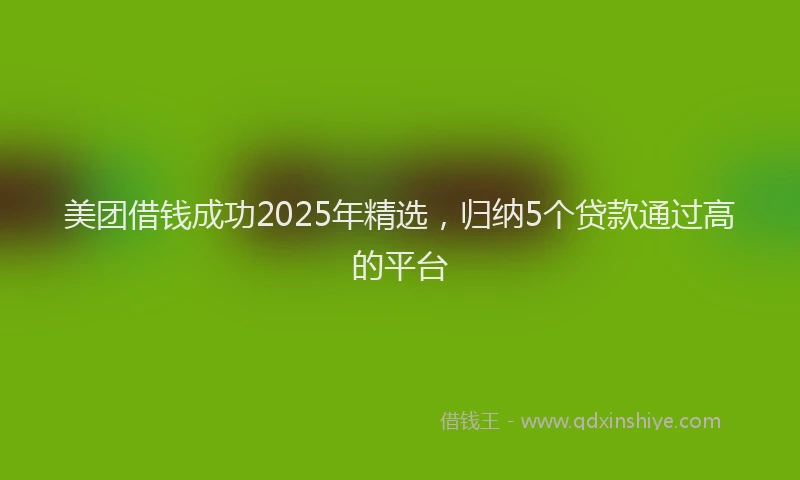 美团借钱成功2025年精选，归纳5个贷款通过高的平台