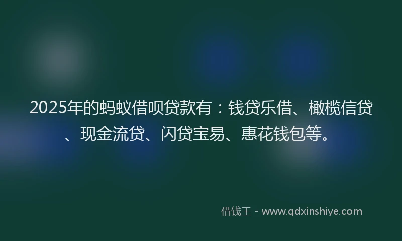 2025年的蚂蚁借呗贷款有：钱贷乐借、橄榄信贷、现金流贷、闪贷宝易、惠花钱包等。