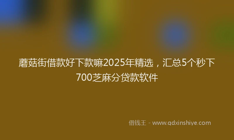 蘑菇街借款好下款嘛2025年精选，汇总5个秒下700芝麻分贷款软件