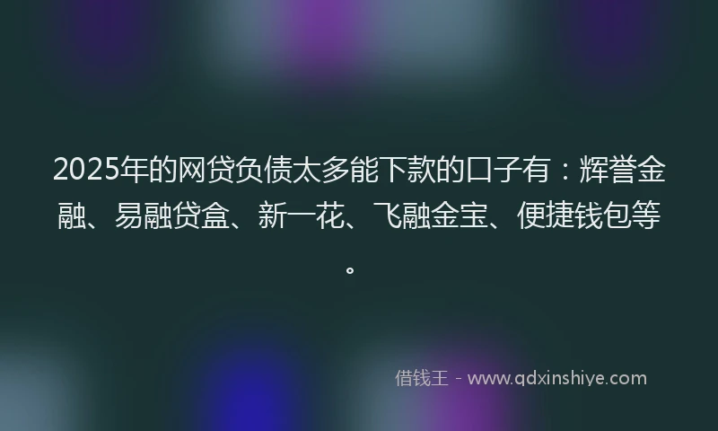 2025年的网贷负债太多能下款的口子有：辉誉金融、易融贷盒、新一花、飞融金宝、便捷钱包等。